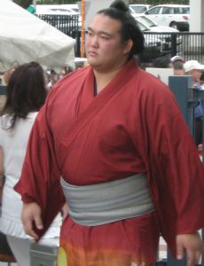 Kisenosato Yutaka