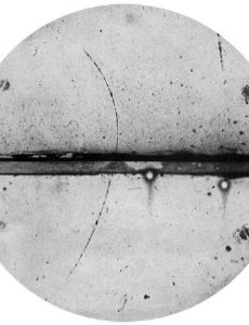 Positron