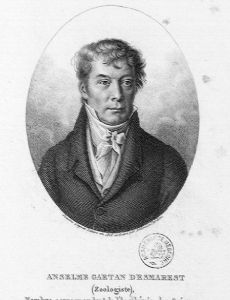 Anselme Gaëtan Desmarest