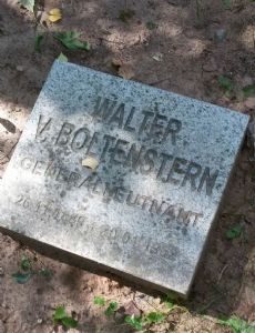 Walter von Boltenstern