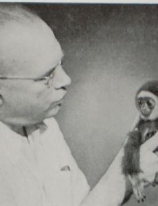 Robert van Gulik