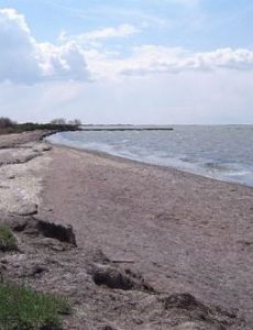 Camargue