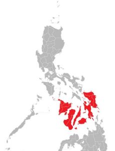 Visayas