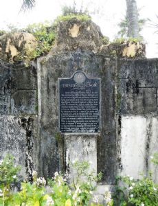 Trinidad Tecson