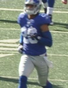 Michael Johnson (safety)