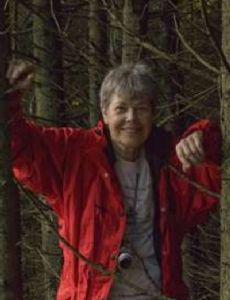 Pamela Alexander
