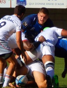 Paul Willemse