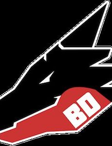 Bad Dragon