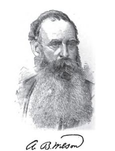 Allen B. Wilson