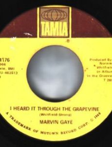 I Heard It Through The Grapevine