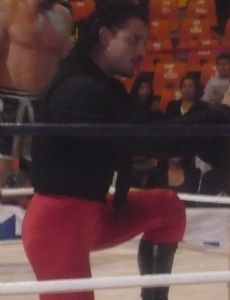 El Zorro (wrestler)