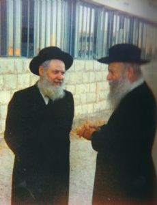 Zvi Yehuda Kook