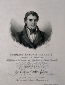 Tomaso Catullo