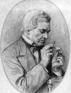 August Grisebach