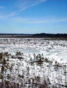 Torronsuo National Park