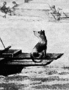 Tahitian Dog