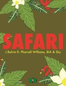 Safari