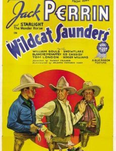 Wildcat Saunders