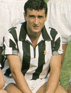 Adolfo Gori