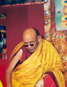 Trulshik Rinpoche