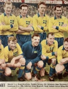 Lennart Wing