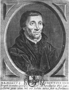 Remi Drieux