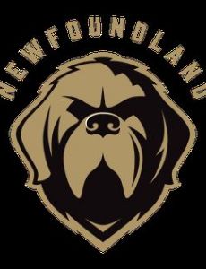 Newfoundland Growlers (basketball)