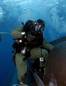 Frogman
