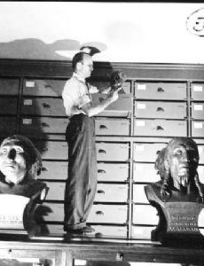 Thomas Dale Stewart (anthropologist)