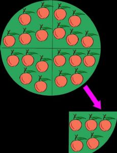 Division (mathematics)
