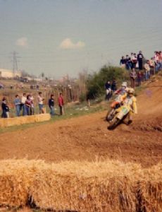 Georges Jobé