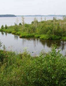 Nyomda River (Kostroma Oblast)