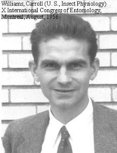 Carroll Williams