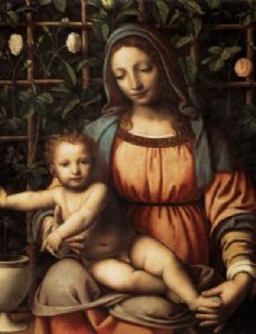 Bernardino Luini