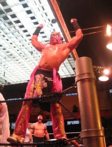 Volador Jr.