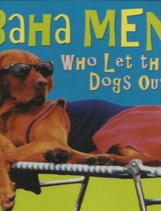 Who Let The Dogs Out