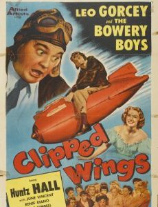 Clipped Wings