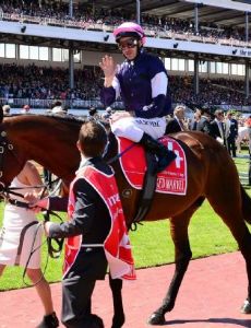 Michael Rodd (jockey)