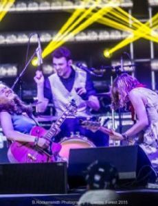 The Accidentals