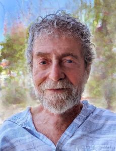 Lenny Lipton