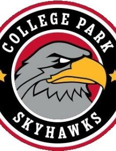 Erie BayHawks (2017–)