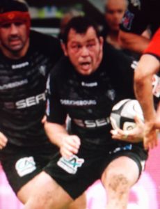 Steve Thompson (rugby union)