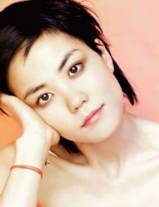 Wang Fei (musician)