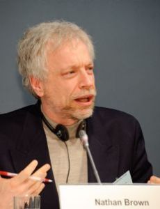 Nathan J. Brown (political scientist)