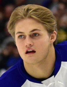 William Nylander-Altelius