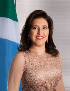 Simone Tebet