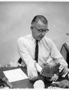 Frank C. Whitmore Jr.