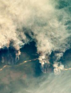 Slash-and-burn