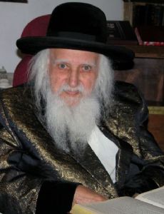 Menashe Klein