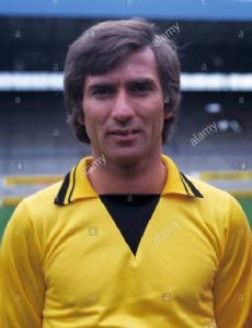Herbert Meyer (footballer)